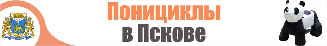 Понициклы в Пскове