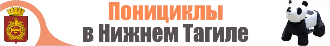 Понициклы в Нижнем Тагиле