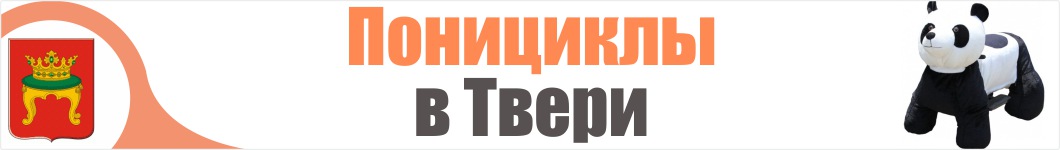 Понициклы в Твери