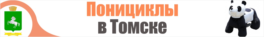 Понициклы в Томске