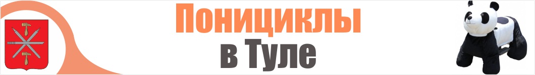 Понициклы в Туле