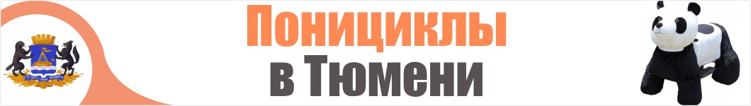 Понициклы в Тюмени