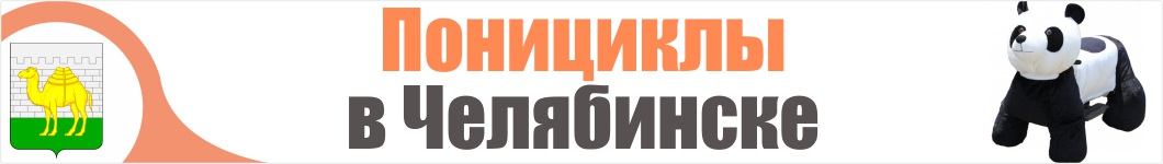 Понициклы в Челябинске