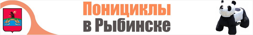 Понициклы в Рыбинске