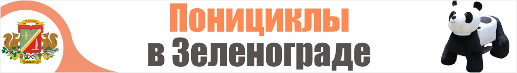 Понициклы в Зеленограде