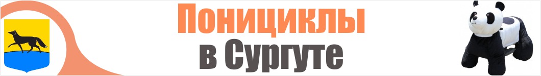 Понициклы  в Сургуте