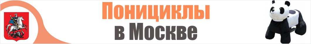 Понициклы в Москве