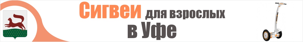 Взрослые сигвеи в Уфе