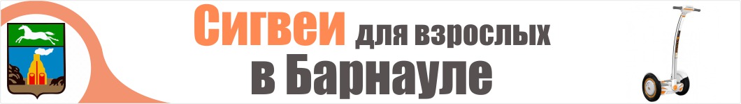 Взрослые сигвеи в Барнауле