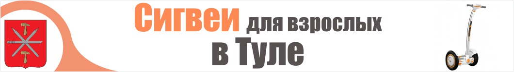 Взрослые сигвеи в Туле