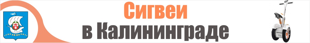 Сигвеи в Калининграде