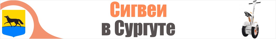 Сигвеи в Сургуте